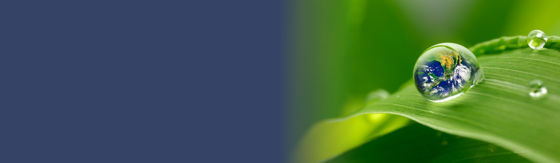 Banner showing water droplet on green leaf representing MNH's committment to zero landfill.
